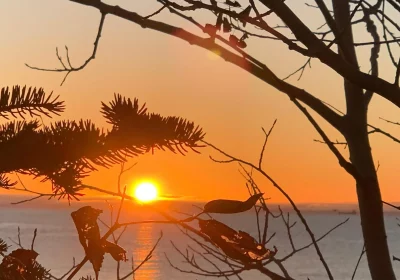 7a51cd81-b7b1-4034-b17b-93e14957312b