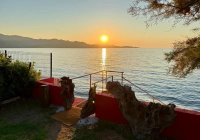 8514ce5e-36ed-43b8-b1b1-e72bc3f92ef7